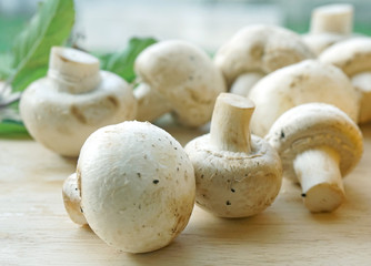 champignon mushrooms on a old wooden background