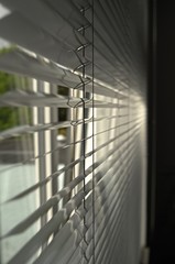 Jalousie / Fenster / Rolladen