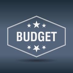 budget hexagonal white vintage retro style label