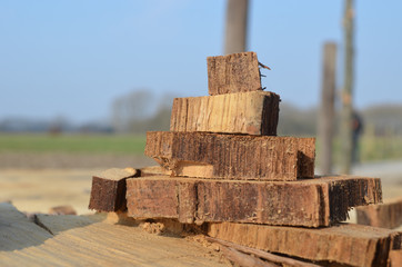 Pile of wood parts after cutting of a big tree