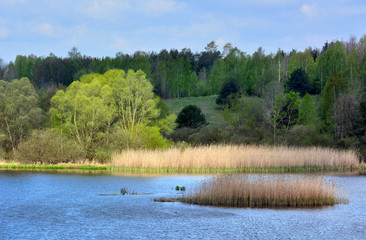 Beautiful spring landscape with lake