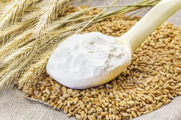 Tuinposter Flour in the wooden spoon with grains and ears © Stock Photos & Video