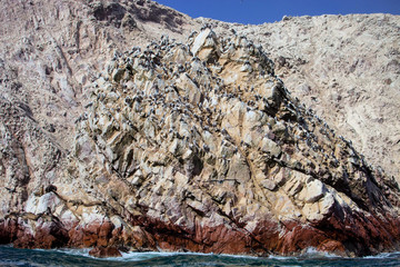 bird colonies on rocks national park Isla de Ballestas, Peru