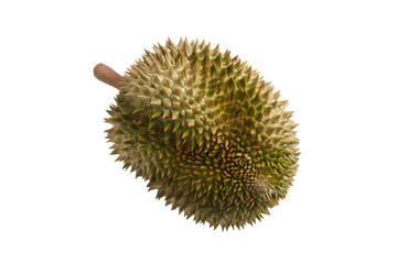 Durian isolated on white background.