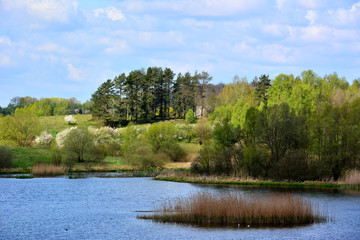 Fototapeta na wymiar Beautiful spring landscape with lake