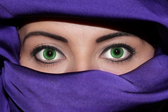 regard vert