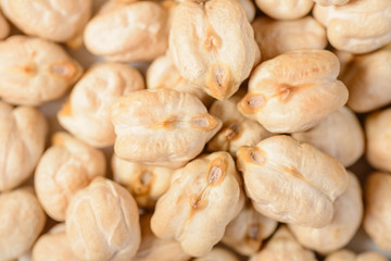 chickpea