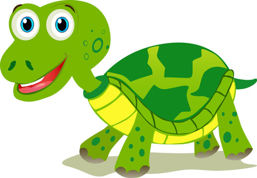 Cartoon turtle isolated on white background.