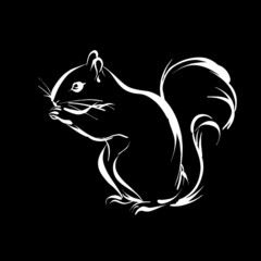 Écureuil noir et blanc