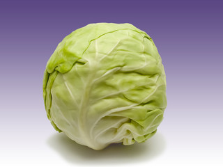 Whole green cabbage