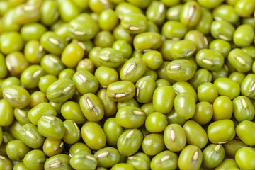 mung bean