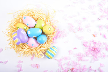 Colorful easter eggs in a nest