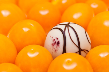 Physalis and Chocolate Truffle