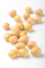 Fototapeta na wymiar soybean