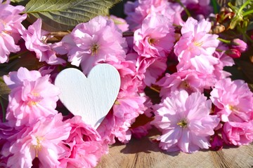 Grußkarte - rosa Frühling Blüten mit Herz