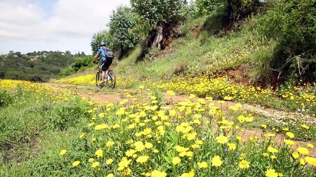 mountain bicycle riding in the countryside