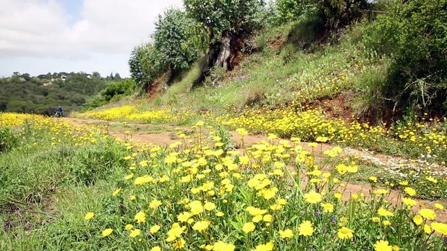 mountain bicycle riding in the countryside