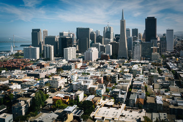 Fototapeta premium View of the downtown skyline from Coit Tower in San Francisco, C