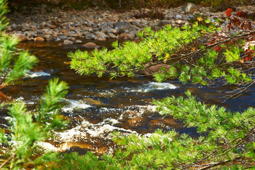 Swift River in White Mountain National Forest