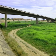 Fototapeta premium Puente sobre cauce