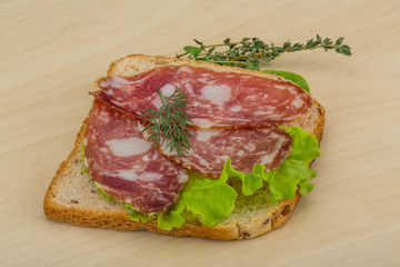 Salami sandwich