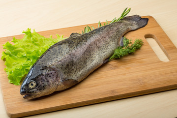 Raw fresh trout