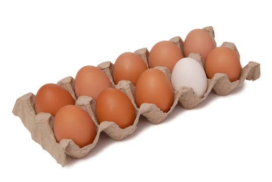 eggs in package