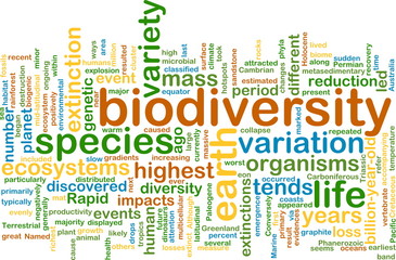 biodiversity wordcloud concept illustration