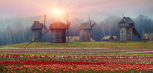 Obraz premium Wooden wind mill