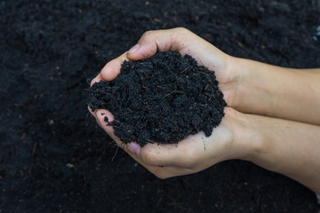 hands holding soil for plant