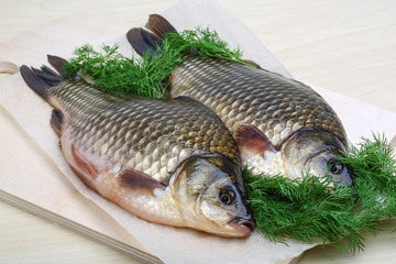 Two crucian