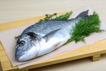 Raw dorado