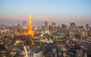 Fototapeta na wymiar Tokyo Tower and Tokyo city nice view at sunset time