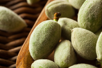 Organic Fresh Green Almonds