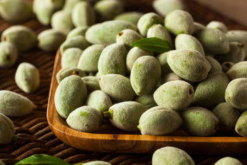 Organic Fresh Green Almonds