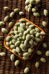 Organic Fresh Green Almonds