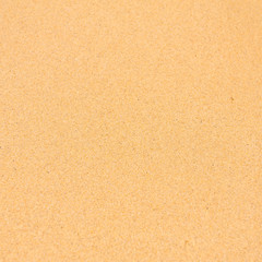 Sand beach background with blurry areas up and down of the frame