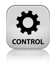 Control (settings icon) white square button