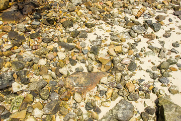 Pebbles on the ground