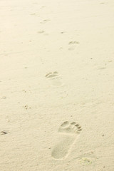 Fototapeta na wymiar Footprint on sand beach