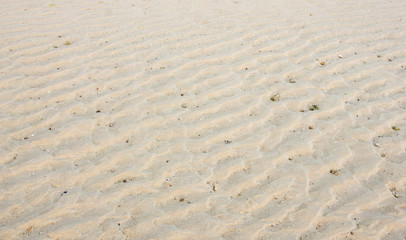 Fototapeta na wymiar Sand waves on the beach
