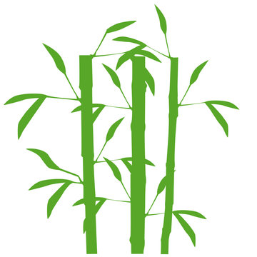 Bambus Einfarbig