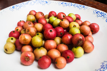 A Red and Green Fresh Indian Plum (Flacourtia sp.)