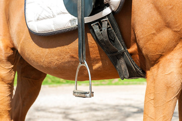 Close-up part of horse body with saddle and stirrups. Side view.