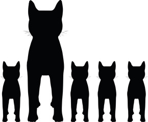 cat silhouette