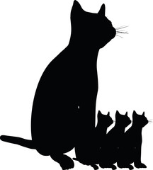 cat silhouette