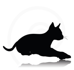 cat silhouette