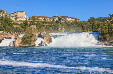 Fototapeta premium Rhine Falls