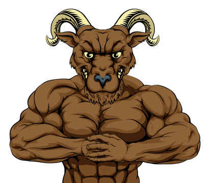 Tough ram mascot