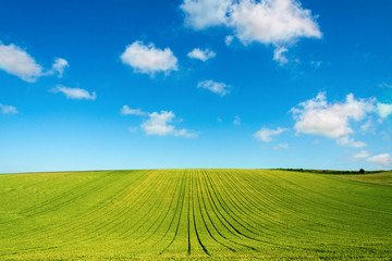 green field and blue sky with clouds in Picardy, France, Europe